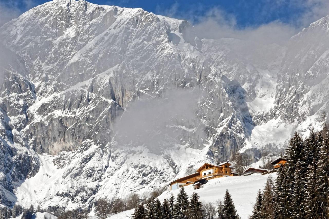 Gut Stein Panoramalodge Mühlbach am Hochkönig エクステリア 写真