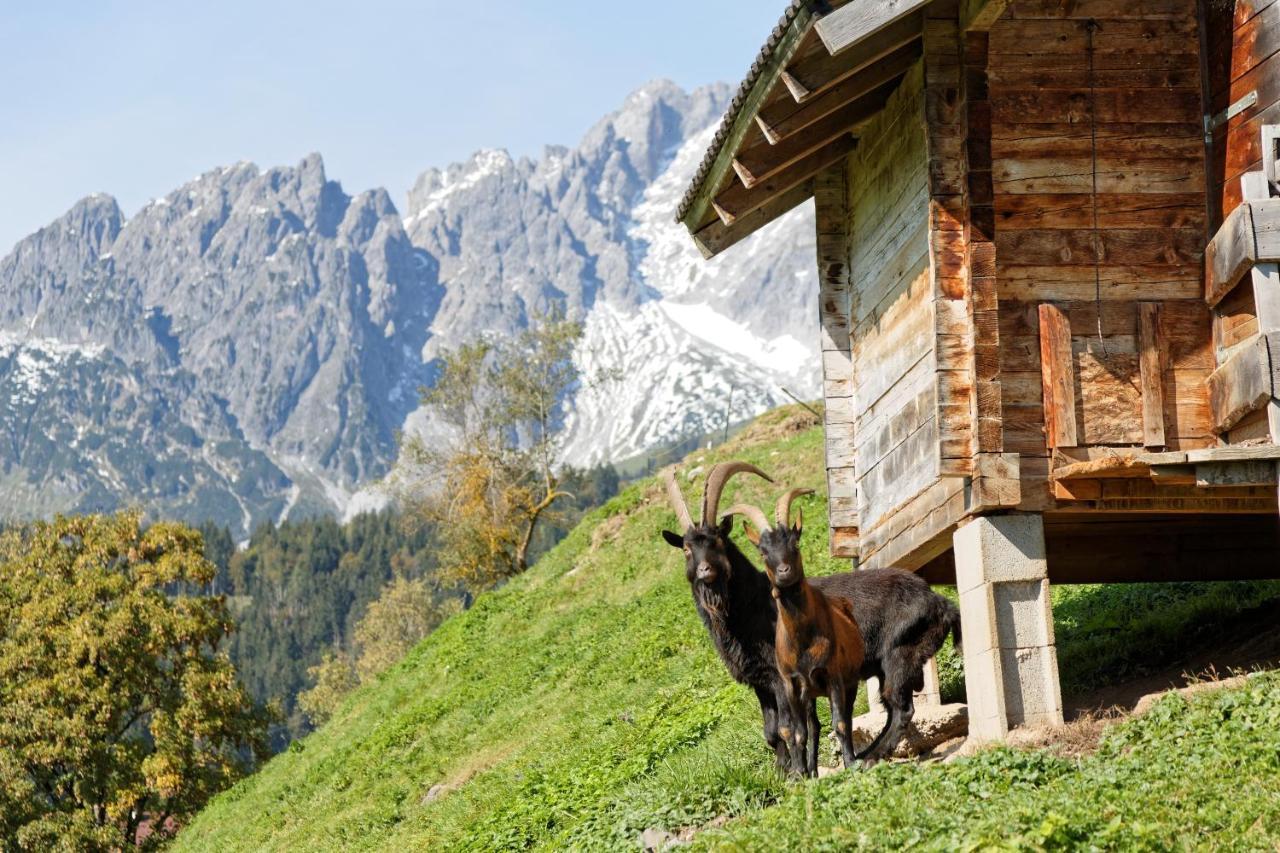 Gut Stein Panoramalodge Mühlbach am Hochkönig エクステリア 写真
