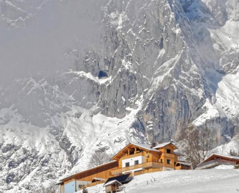 Gut Stein Panoramalodge Mühlbach am Hochkönig エクステリア 写真