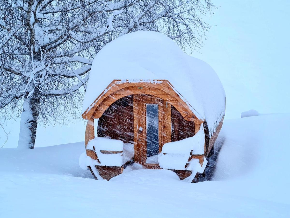 Gut Stein Panoramalodge Mühlbach am Hochkönig エクステリア 写真