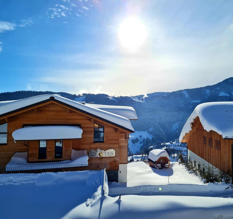 Gut Stein Panoramalodge Mühlbach am Hochkönig エクステリア 写真